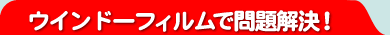 �E�C���h�[�t�B�����Ŗ������I